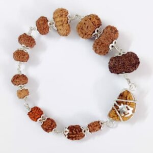 1 से 14 मुखी रुद्राक्ष ब्रेसलेट – 1 To 14 Mukhi Natural Rudraksha Bracelet With Silver Cap – With Lab Report