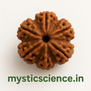 छः मुखी रुद्राक्ष / 6 Mukhi Rudraksha With Silver Cap Pendant With Lab Report